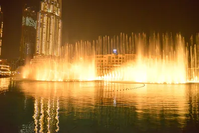 DSC_4128 (Large).JPG